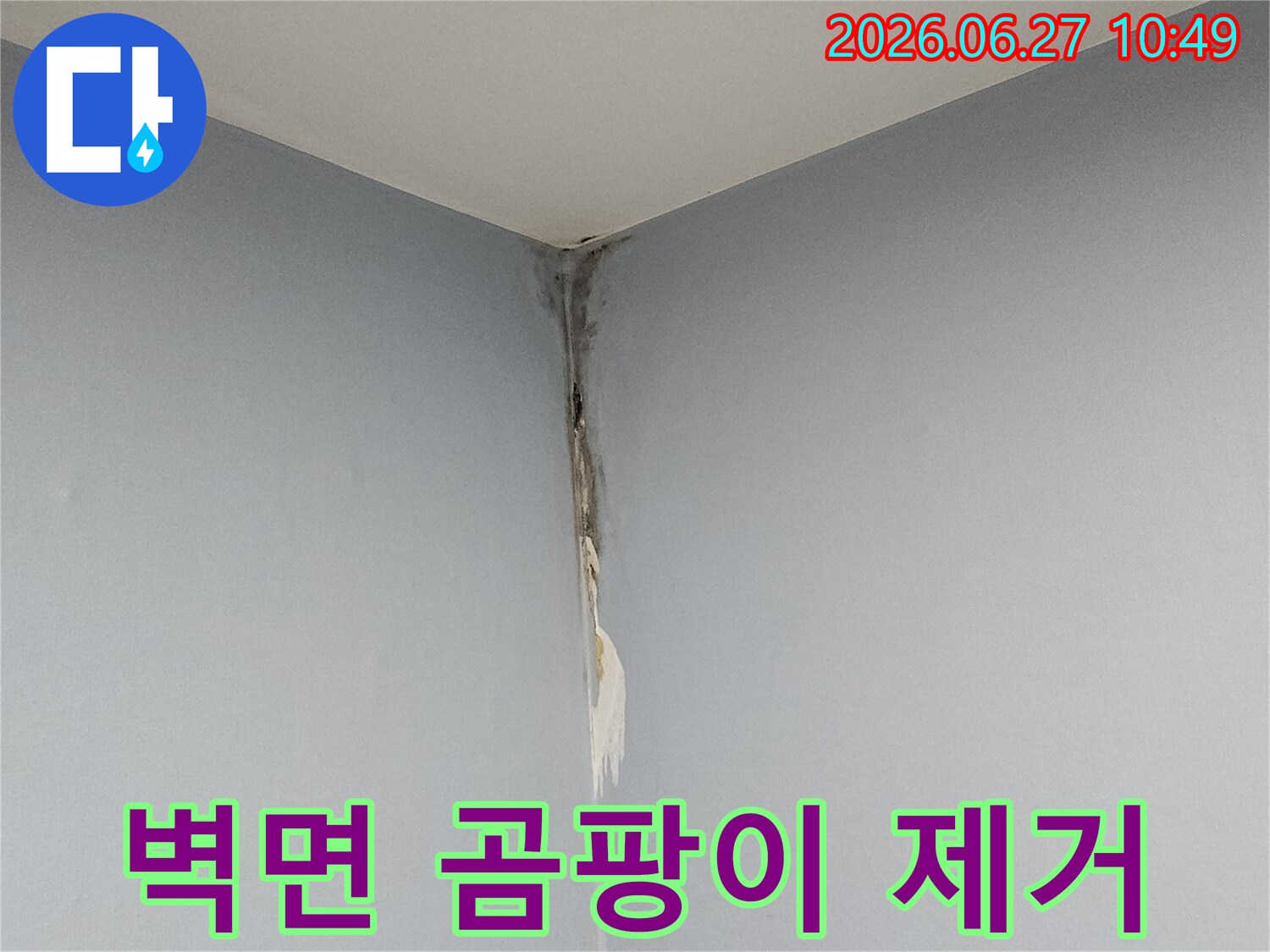 천장과 벽이 만나는 모서리 부분에 누수로 인해 벽지가 젖고 곰팡이가 심하게 번져있어-벽면 습기 문제를 명확하게 보여주는 사진입니다.