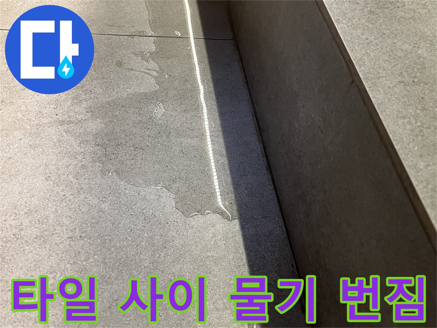 습기가 퍼져 있는 식당 타일 벽면 하단부