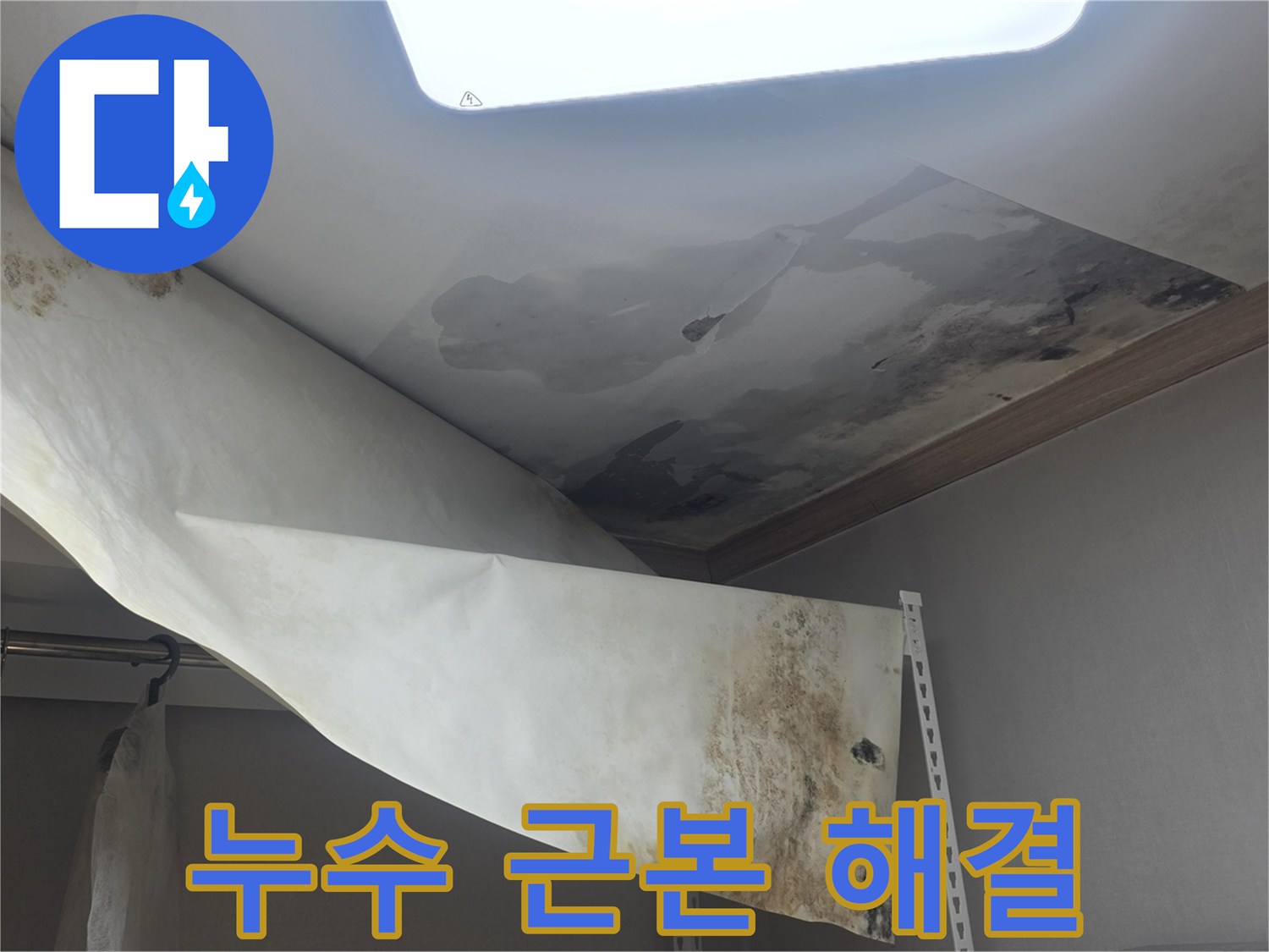 천장 누수로 인한-물자국과 곰팡이를-근본적으로 해결하기 위해-전문가가 현장을 진단 중입니다