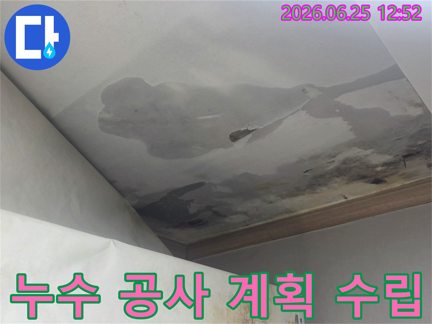 천장 누수로 인해 광범위하게 손상된 천장과 벽면-정밀 탐지 후 공사 계획이 필요한 현장