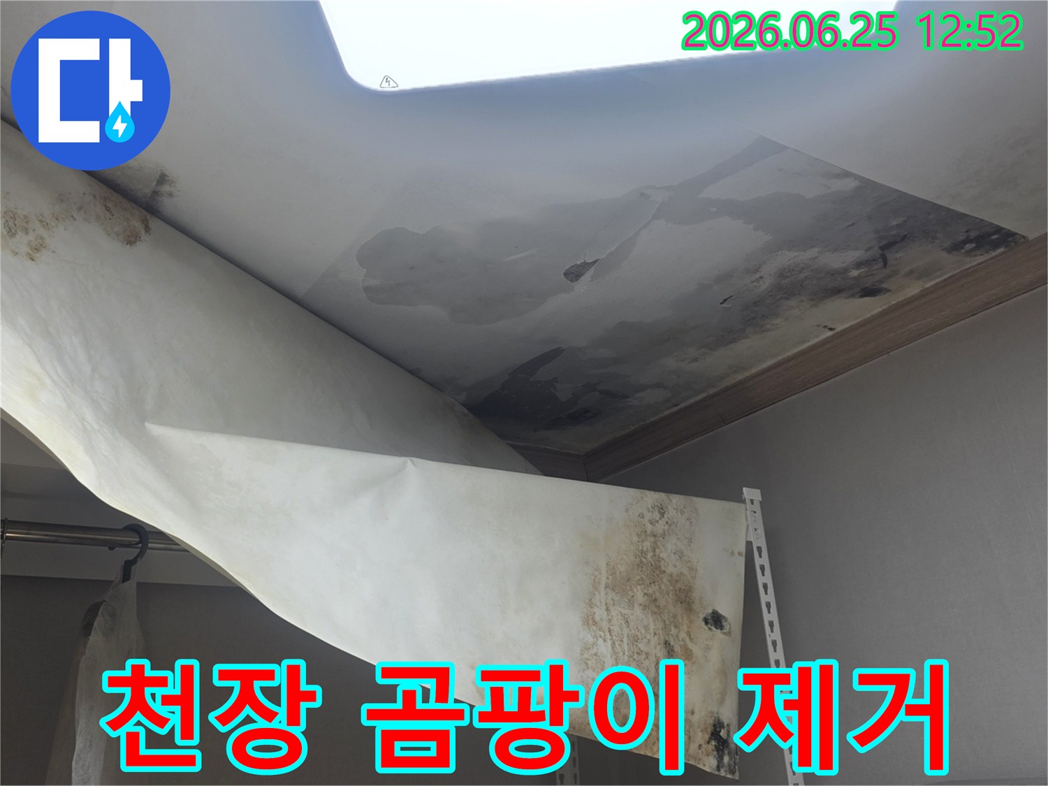 천장 벽지가 물에 젖어-축 처지고-검은 곰팡이가 심하게 번식한-누수 현장입니다