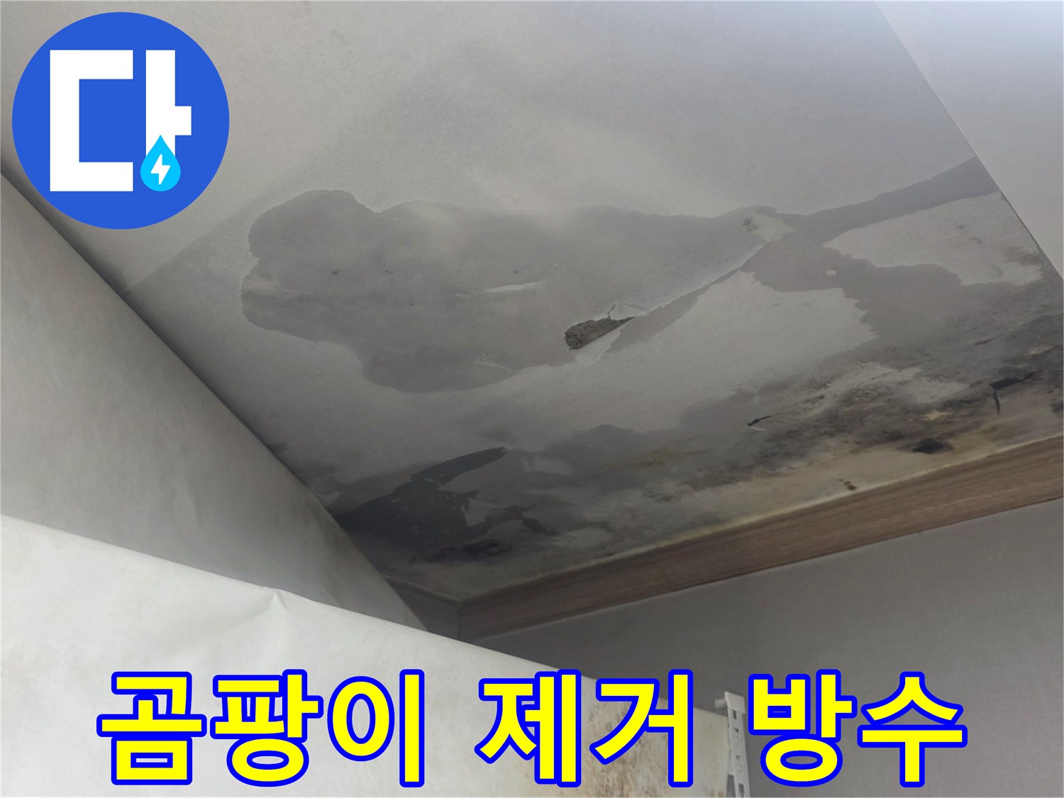 천장에 넓게 퍼진 곰팡이와 물 흔적은-윗집 누수로 인한 것이며-곰팡이 제거와 방수 작업이 필수적입니다.