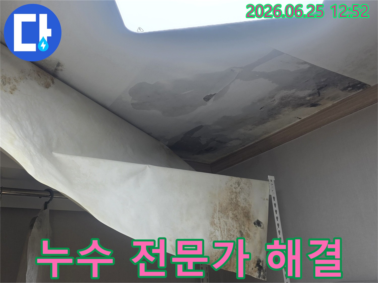 천장에서 물이 새서-벽지가 젖고-곰팡이가 발생한-심각한 누수 현장을-전문가가 완벽하게 해결하고 있습니다
