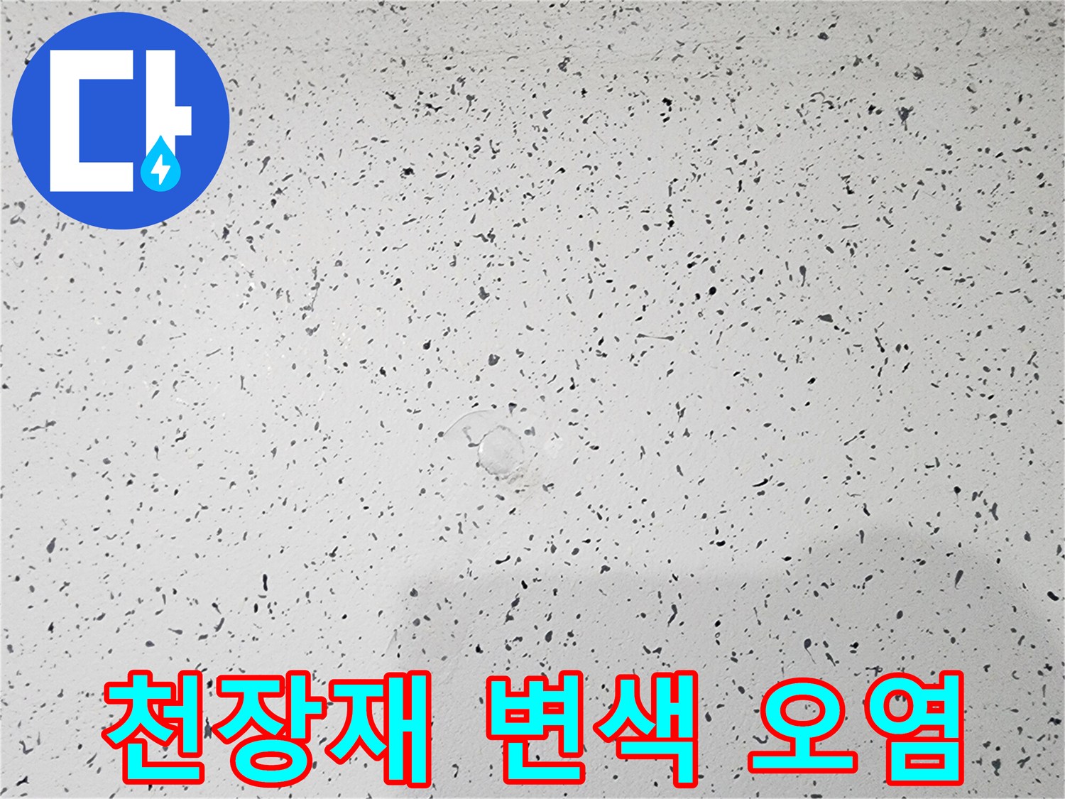 천장 마감면 곳곳에 점처럼 나타난 누수 침투 흔적과 변색 부위