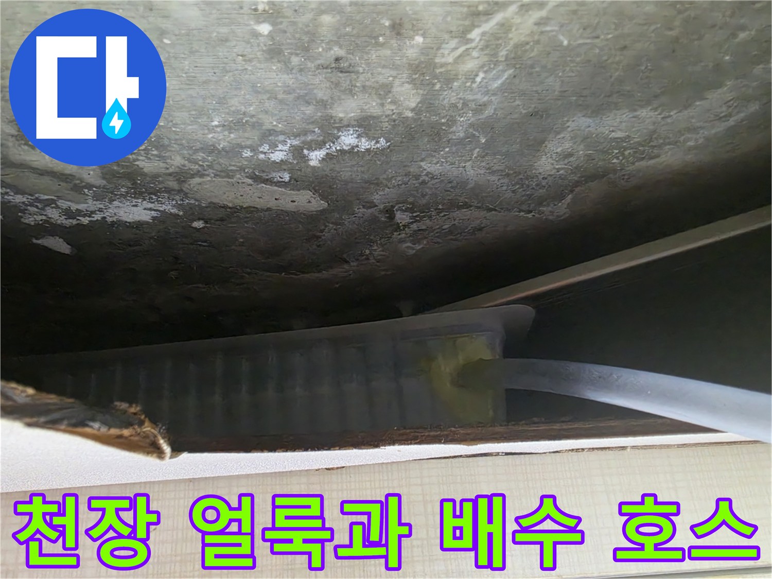 광주 오포 현장의 천장 곰팡이 흔적과 드레인 연장 호스 설치 모습