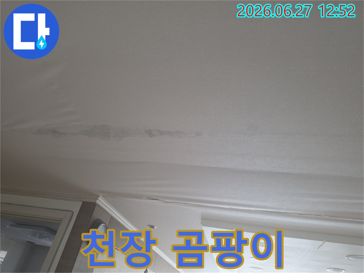 생활 공간에 영향을 미치는 천장 누수-안전하고 깨끗한 환경을 되찾으세요
