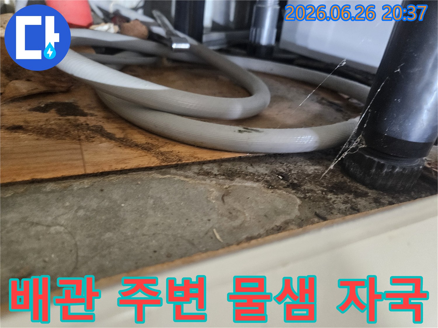 물샘으로-인해-싱크대-아래-목재가-손상되고-곰팡이가-번식한-모습