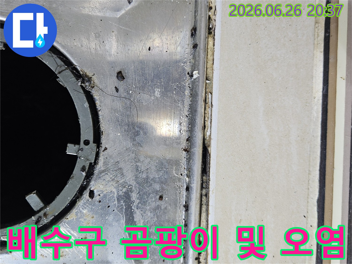 이 이미지는-싱크대 배수구 주변의-심한 곰팡이와-오염으로 인한-악취 문제를-시사합니다