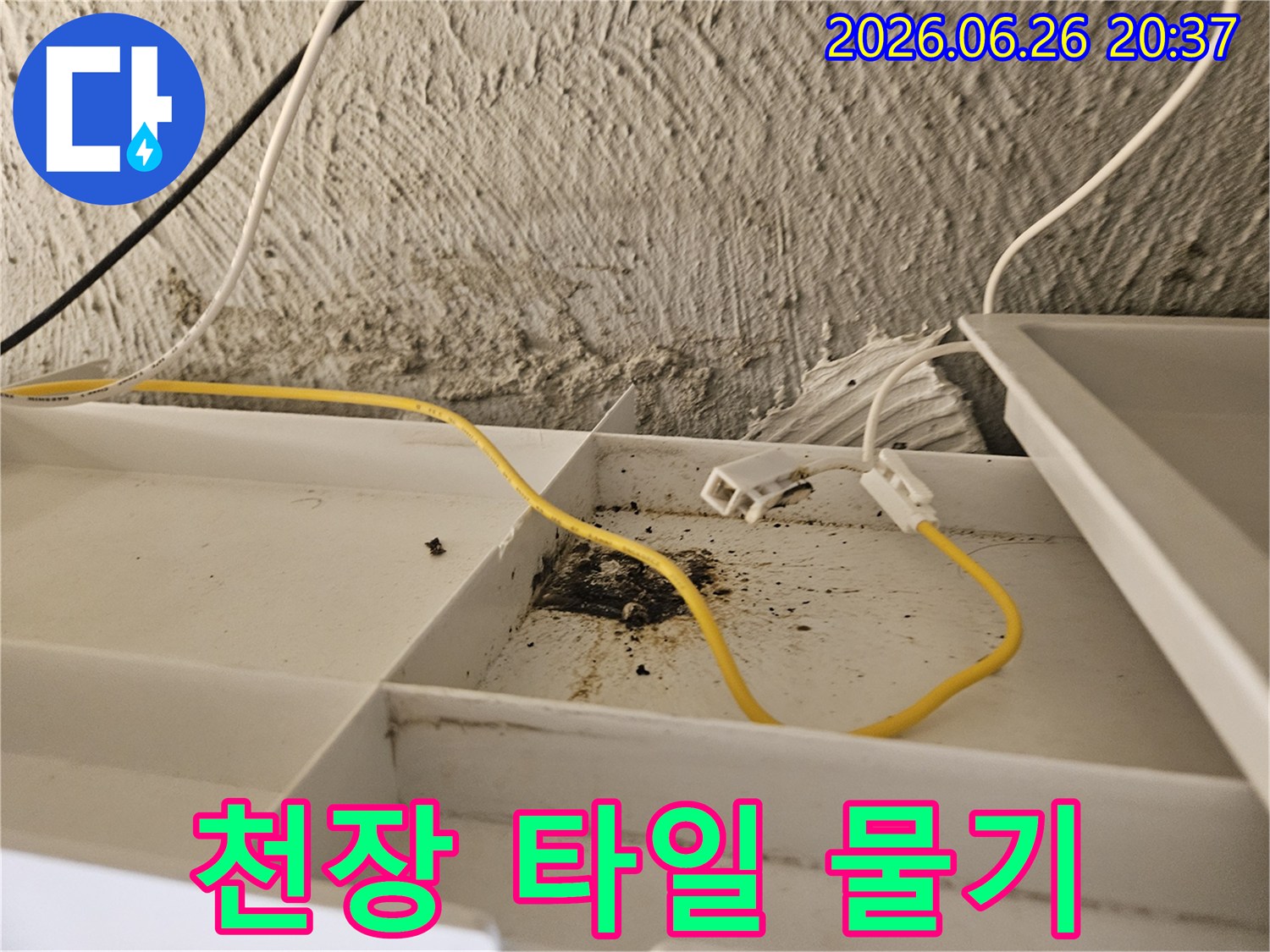 천장 내부의-타일에-물기가 스며들어-오염되고-부식된-누수 현장