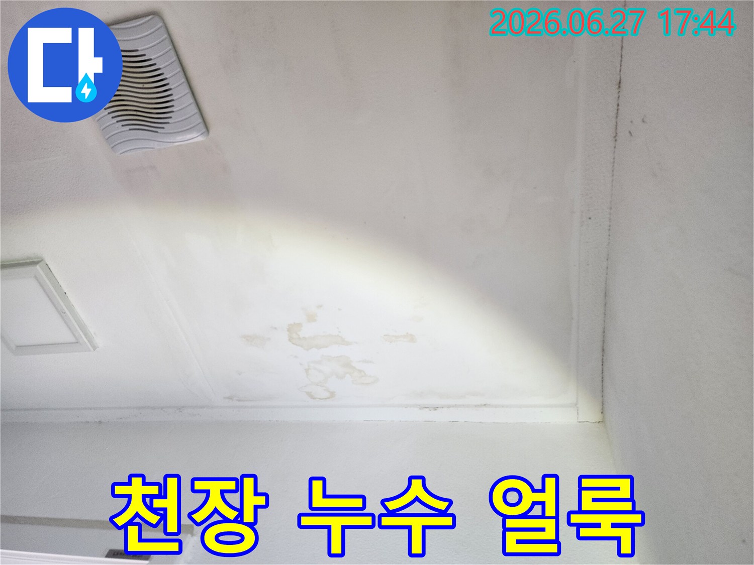 천장-표면에-나타난-물-얼룩과-습기로-인한-변색-현장-사진