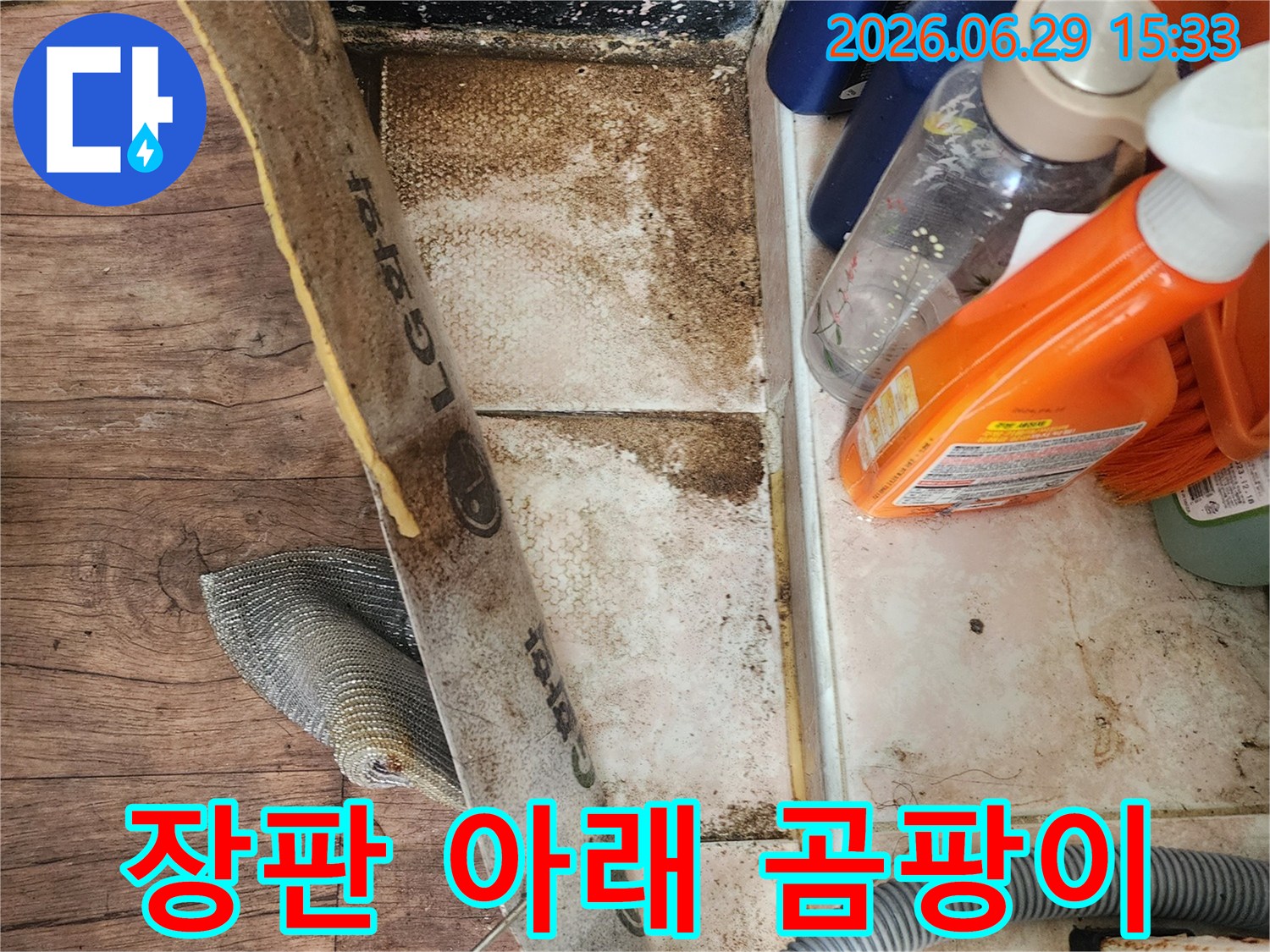 누수 엔지니어가 시흥 대림아파트의 장판 아래 심각한 습기와 곰팡이 발생 지점을 확인하는 모습