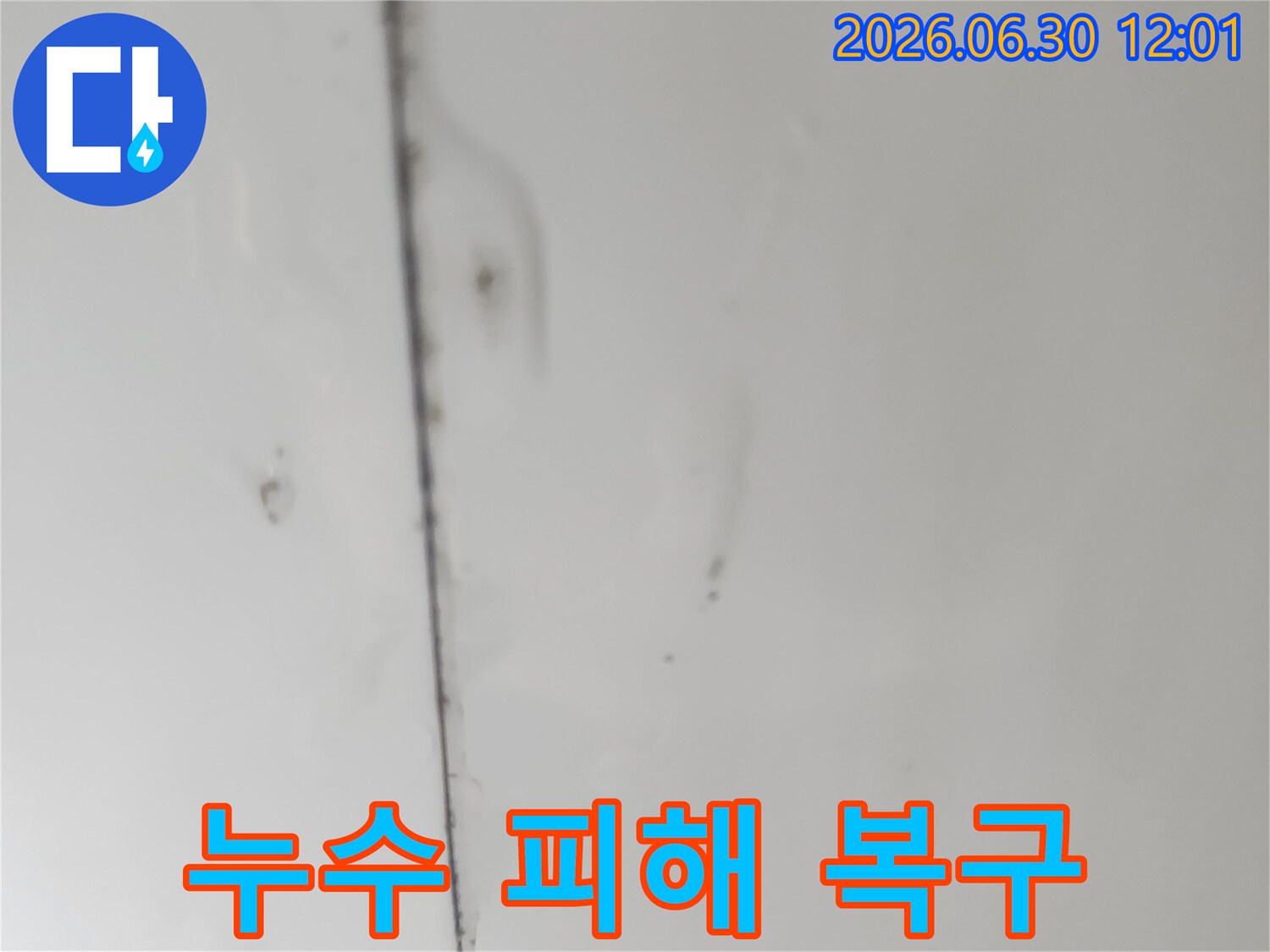 천장-이음새-부분에-물기가-스며들어-생성된-곰팡이와-함께-표면이-변색된-모습을-촬영했습니다.