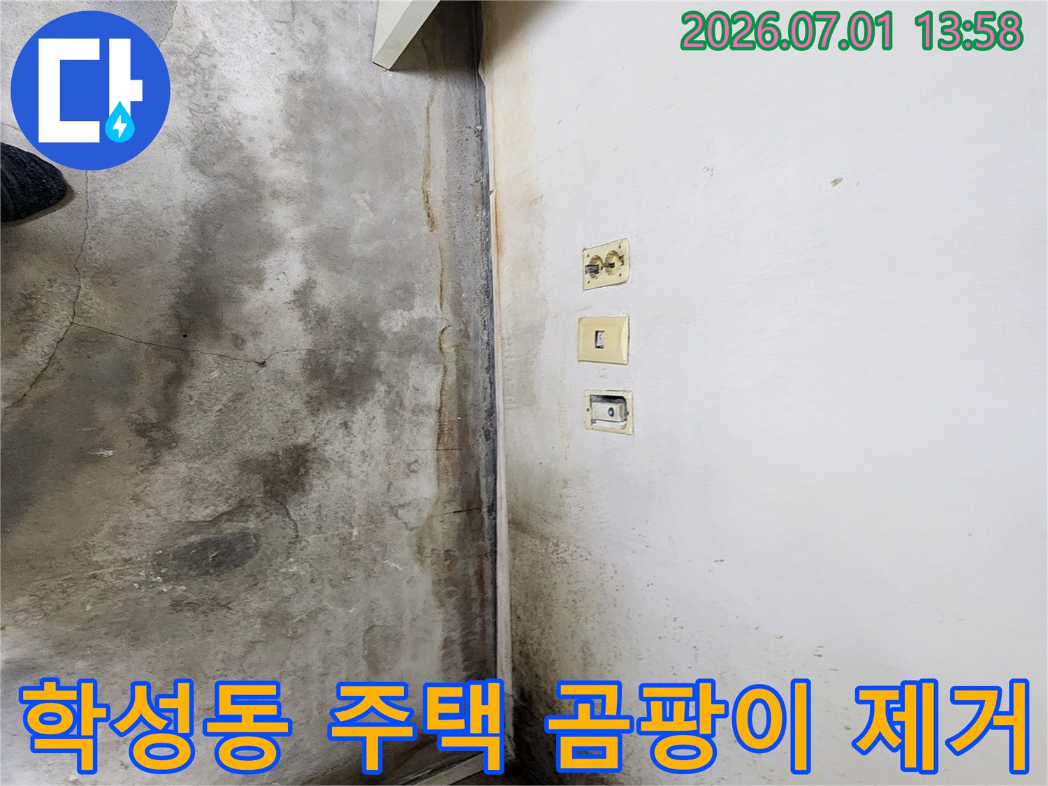 울산-학성동-주택-내부-벽면과-바닥에-누수로-인한-심각한-곰팡이와-오염이-발생한-현장-사진