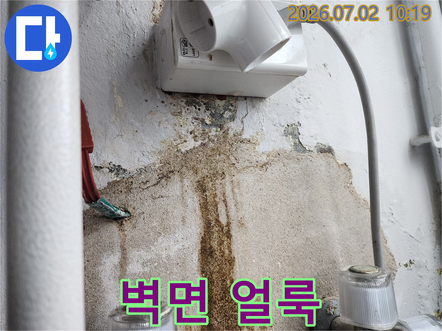 울산-복산2동-주택-벽에서-발견된-심각한-누수-흔적과-곰팡이