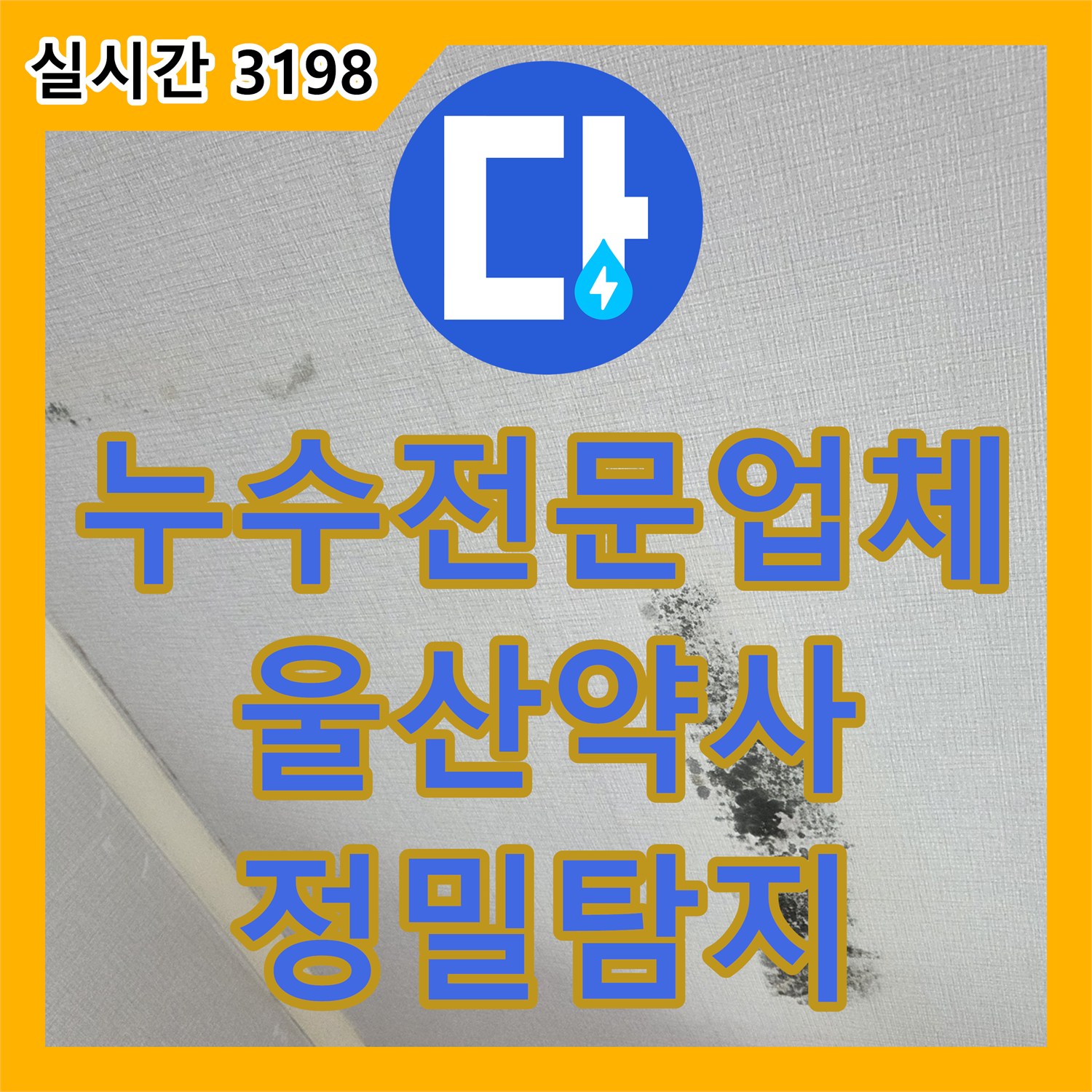 누수전문업체 육안 검사의 한계를 넘어 전문 장비로 안방 천장 누수를 추적한 울산광역시 중구 약사동