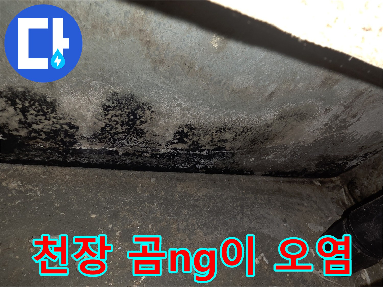누수로 인해 변색된 천장 마감재와 곰팡이 부위