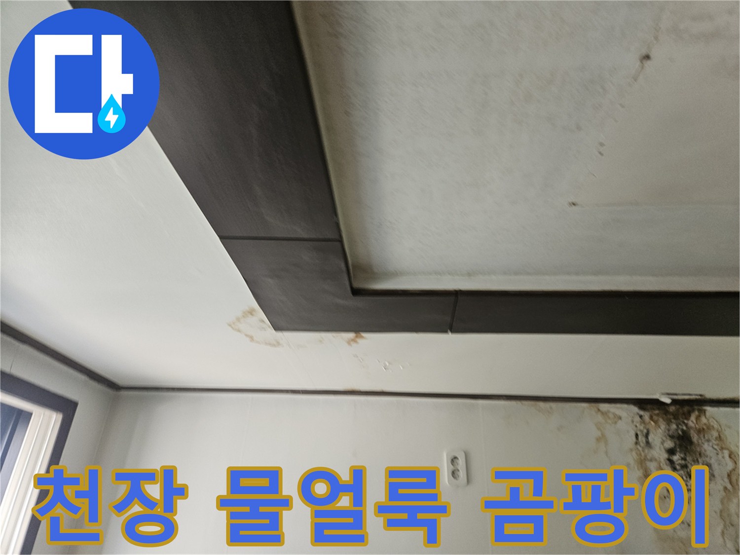 성북구-정릉동-아랫층-천장-벽면의-심각한-물자국과-곰팡이-상태