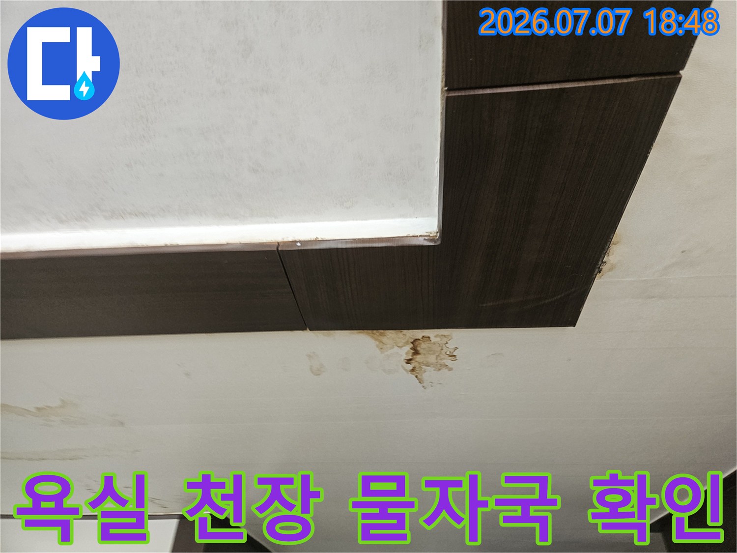 욕실 천장 마감재와 벽면에 발생한 누수 흔적과 곰팡이 현장 사진