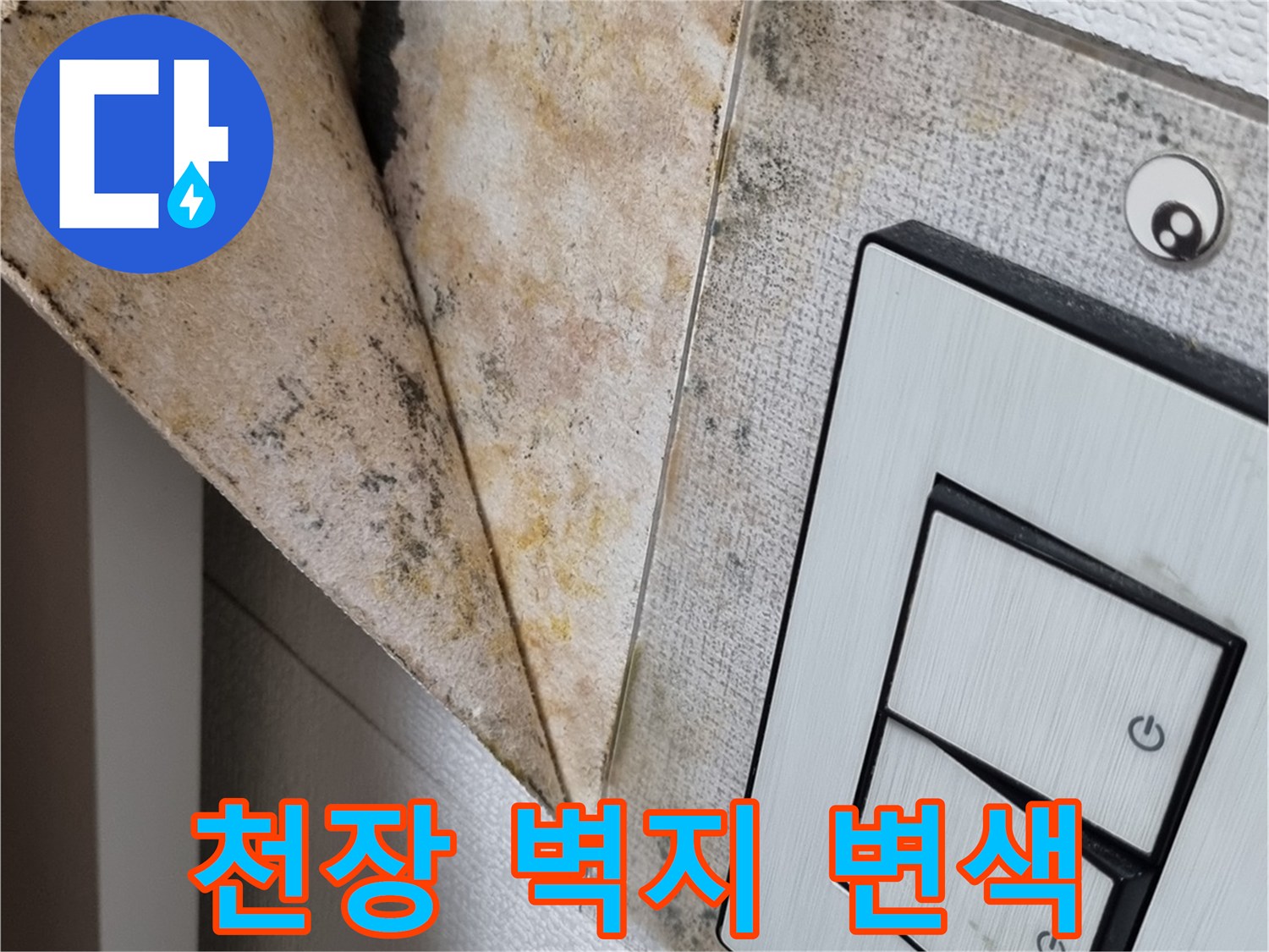 스위치-주변의-오염된-천장-벽지와-곰팡이-상태
