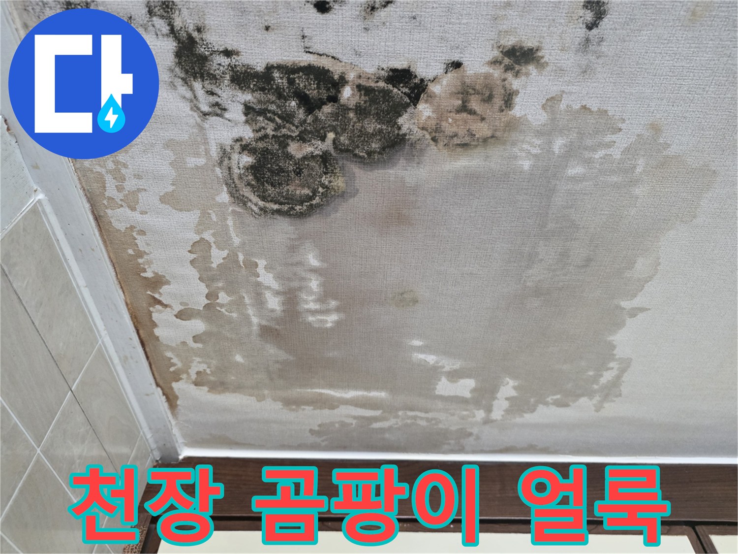 아파트-천장-벽지에-퍼진-심한-곰팡이와-변색-흔적