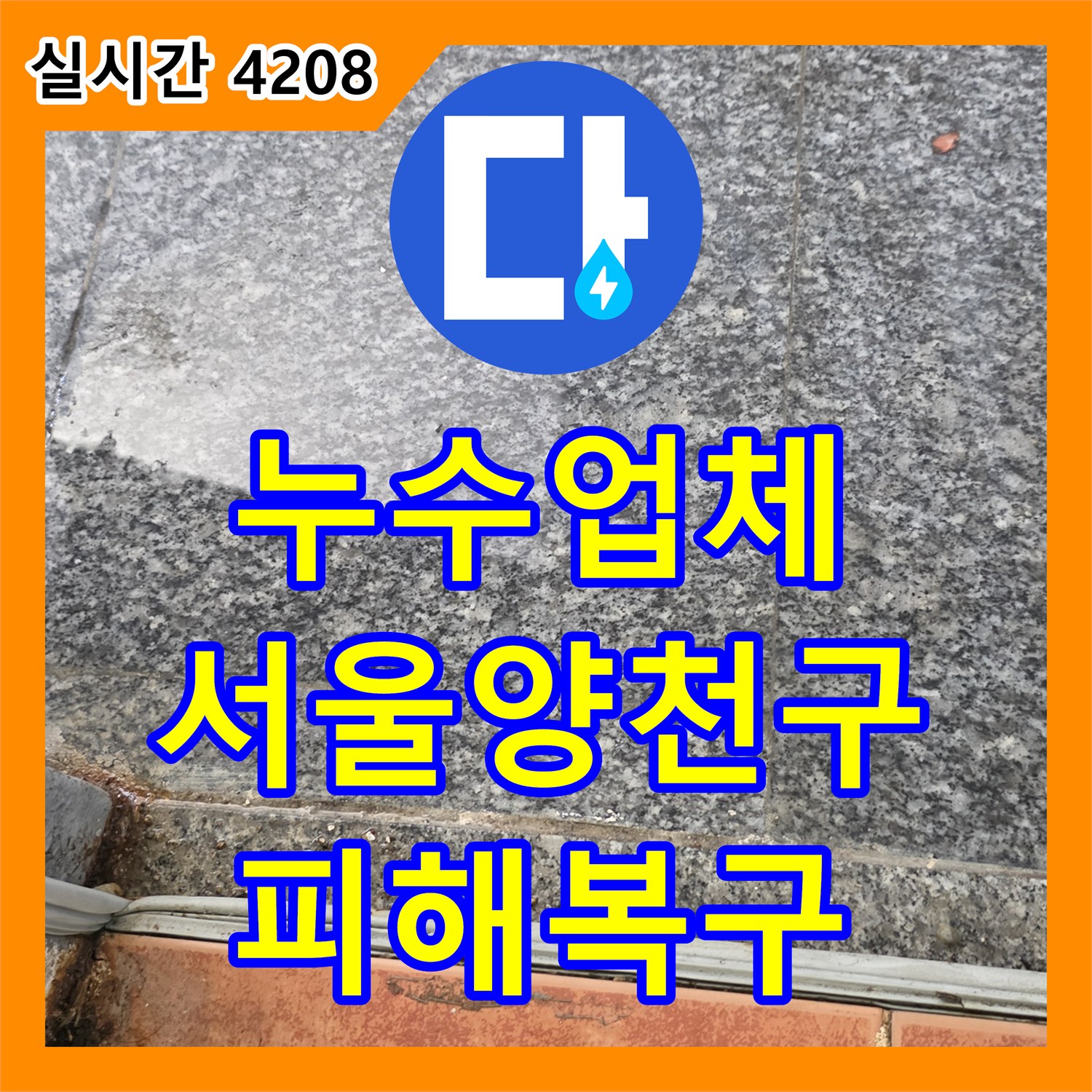누수업체 서울 양천구 목동 빌라 싱크대 하수관 누수로 인한 지하층 천장 피해 복구