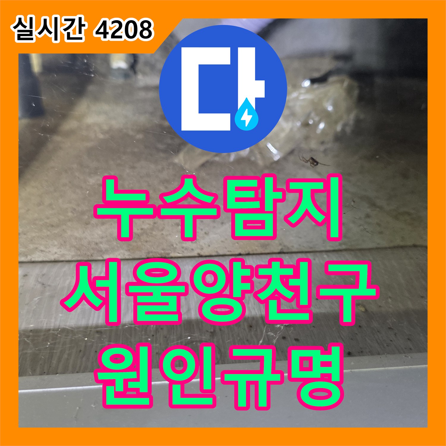누수탐지 서울 양천구 목동 빌라 지하층 천장으로 새는 하수 메인관 결함 진단 과정
