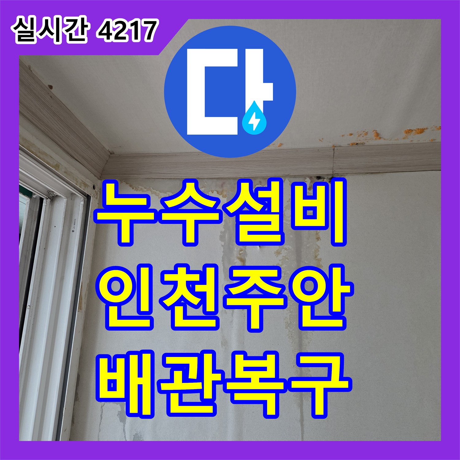 누수설비 세탁실 바닥 배관의 균열을 정밀 탐지로 찾아내어 교체한 인천 미추홀구 주안동 사례