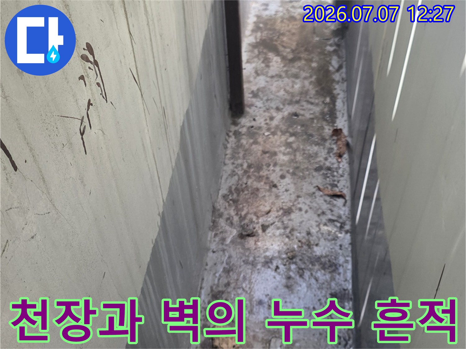 벽면 상부에 발생한 물자국 및 천장의 오염 상태를 정밀 진단하는 현장 사진