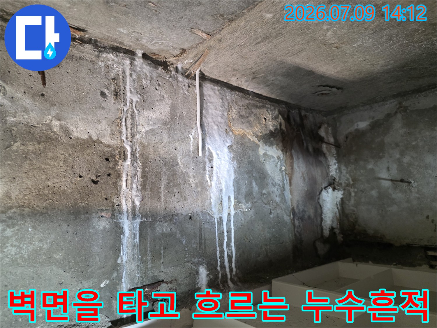 천장과 벽이 만나는 지점에서 수직으로 내려온 백색 석회질 흔적들