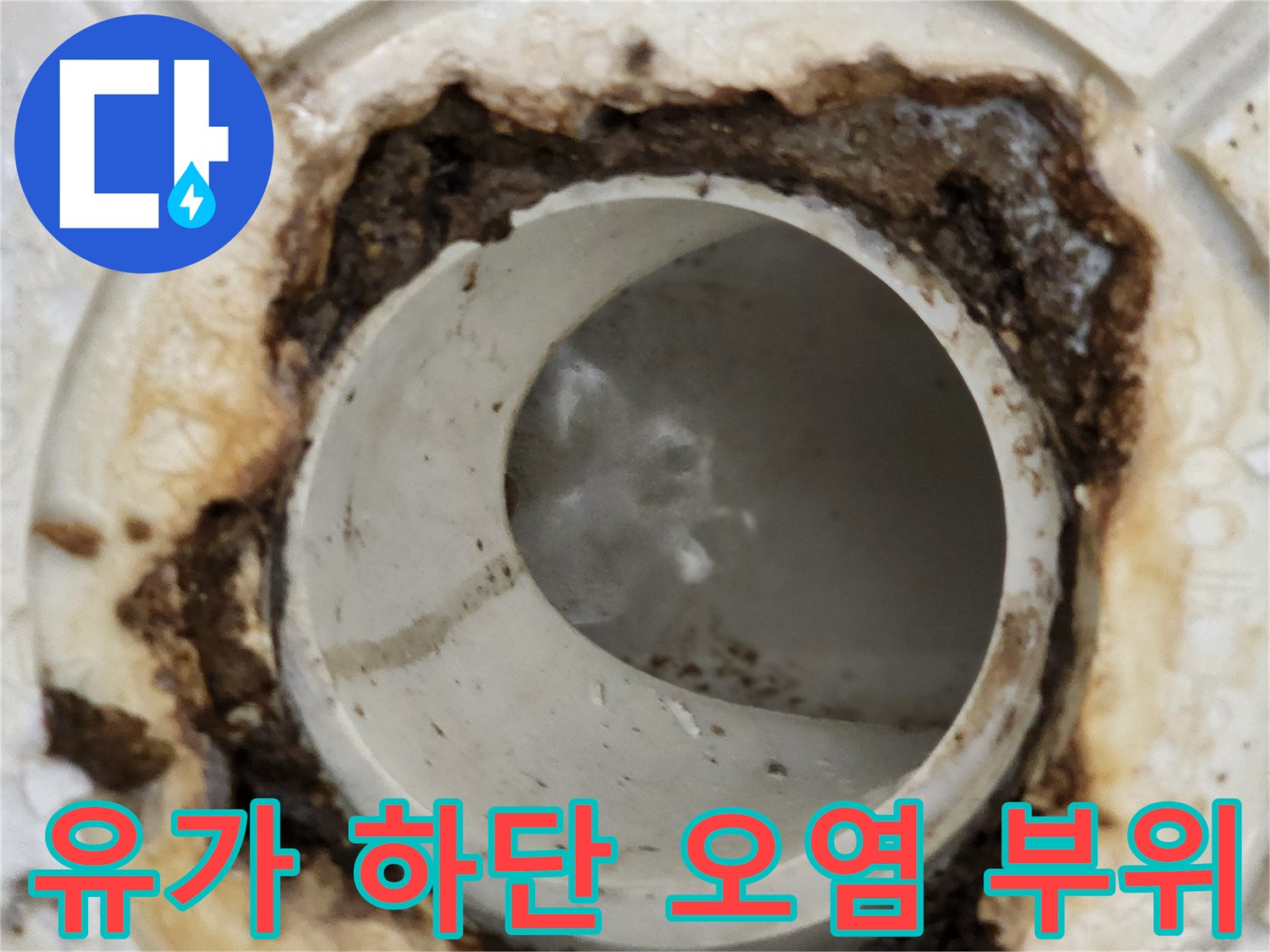 배수구 유가 아래쪽 틈새에 쌓인 오염된 이물질을 촬영한 사진입니다.