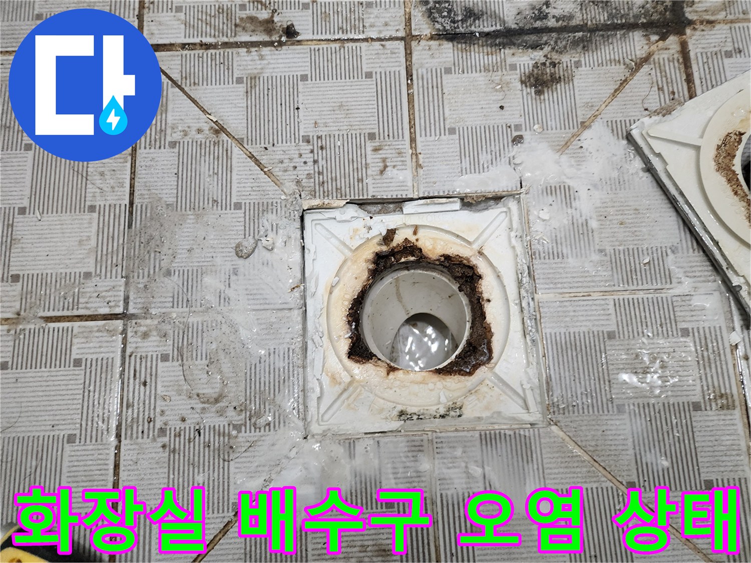 오염물이 가득한 화장실 배수구 내부와 주변 타일 상태