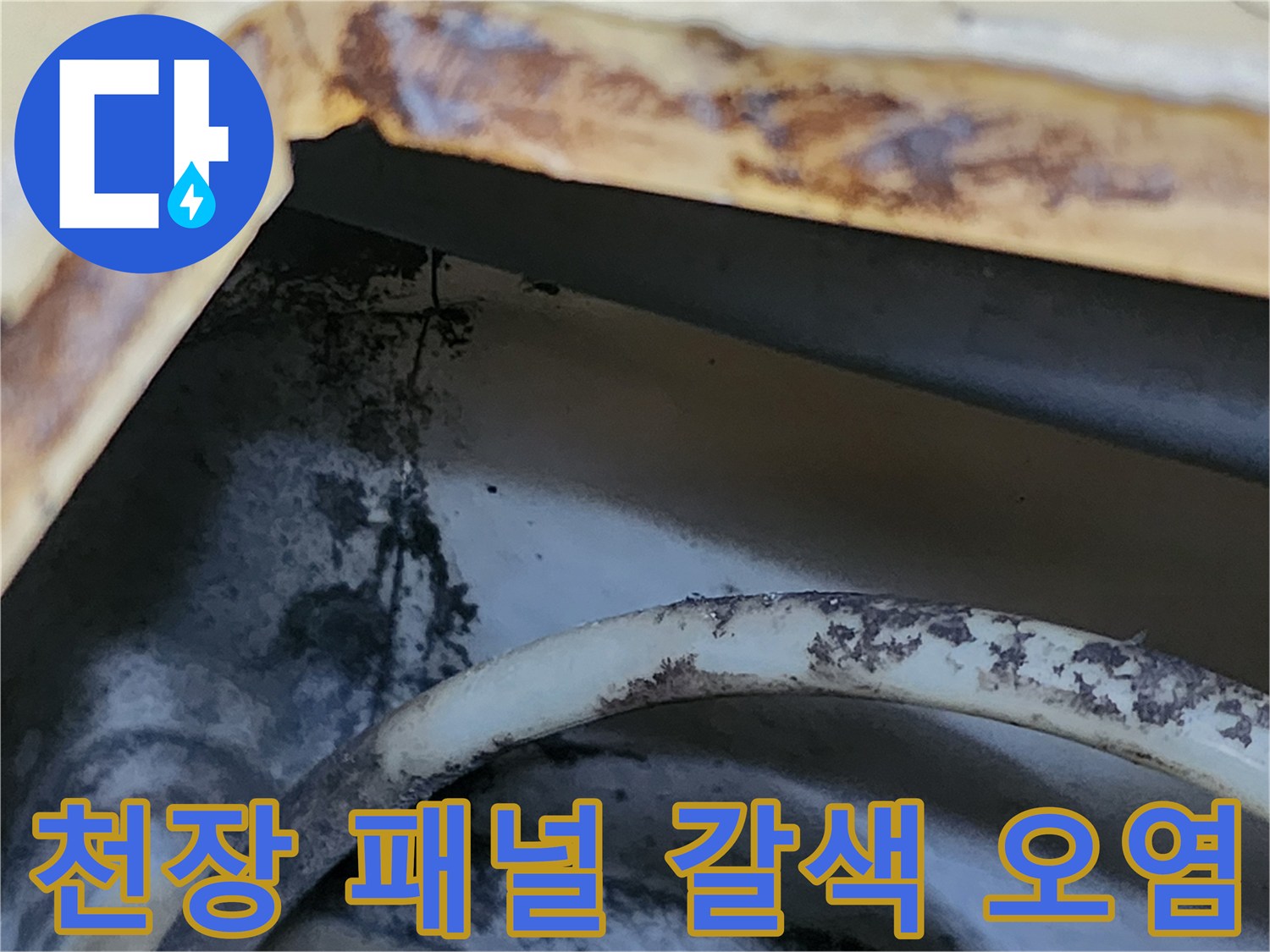 화장실 천장재에 나타난 누수된 물의 자국과 곰팡이 현상