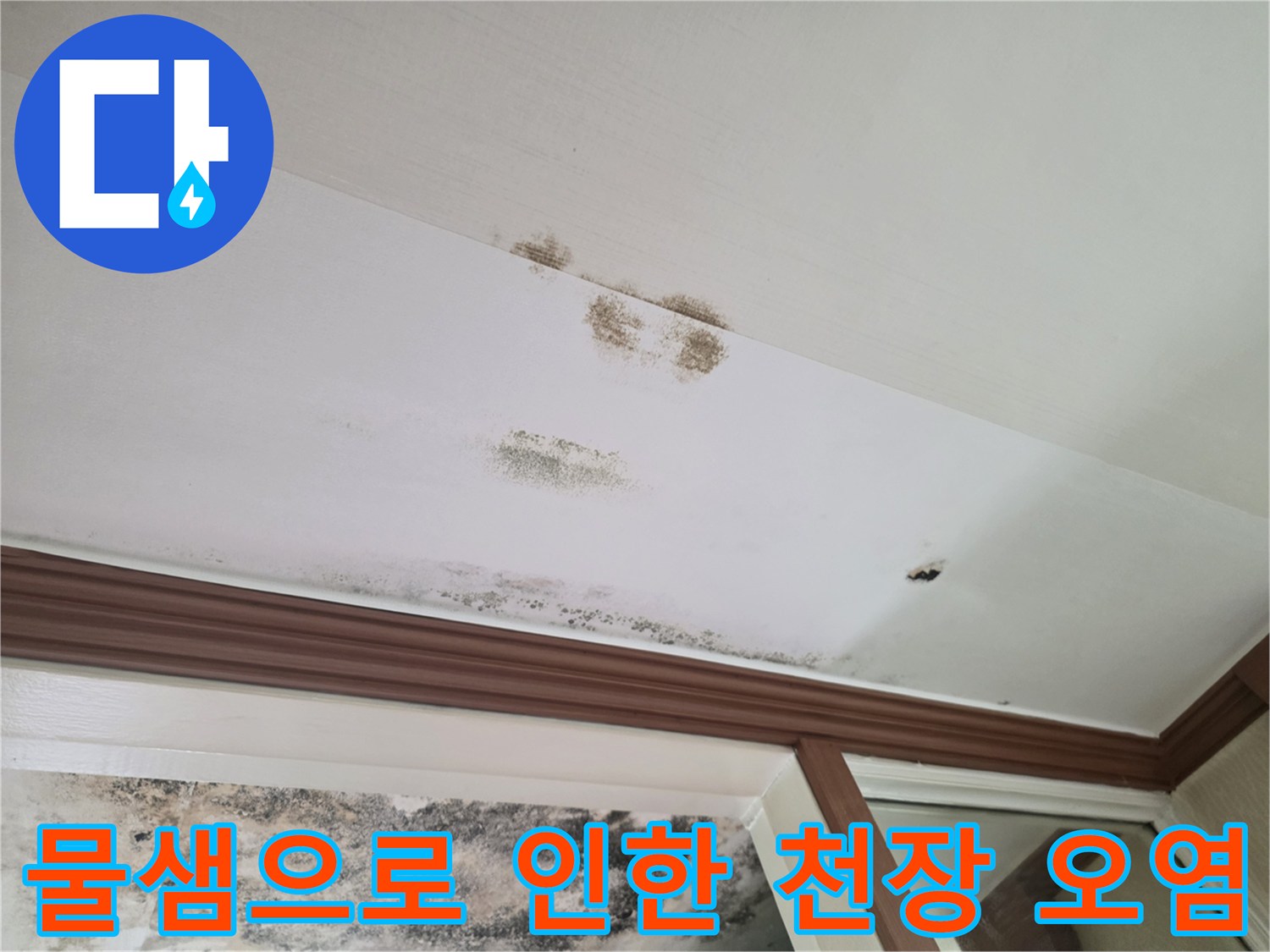 천장 마감재에 발생한 누수 얼룩과 곰팡이 부위 상세