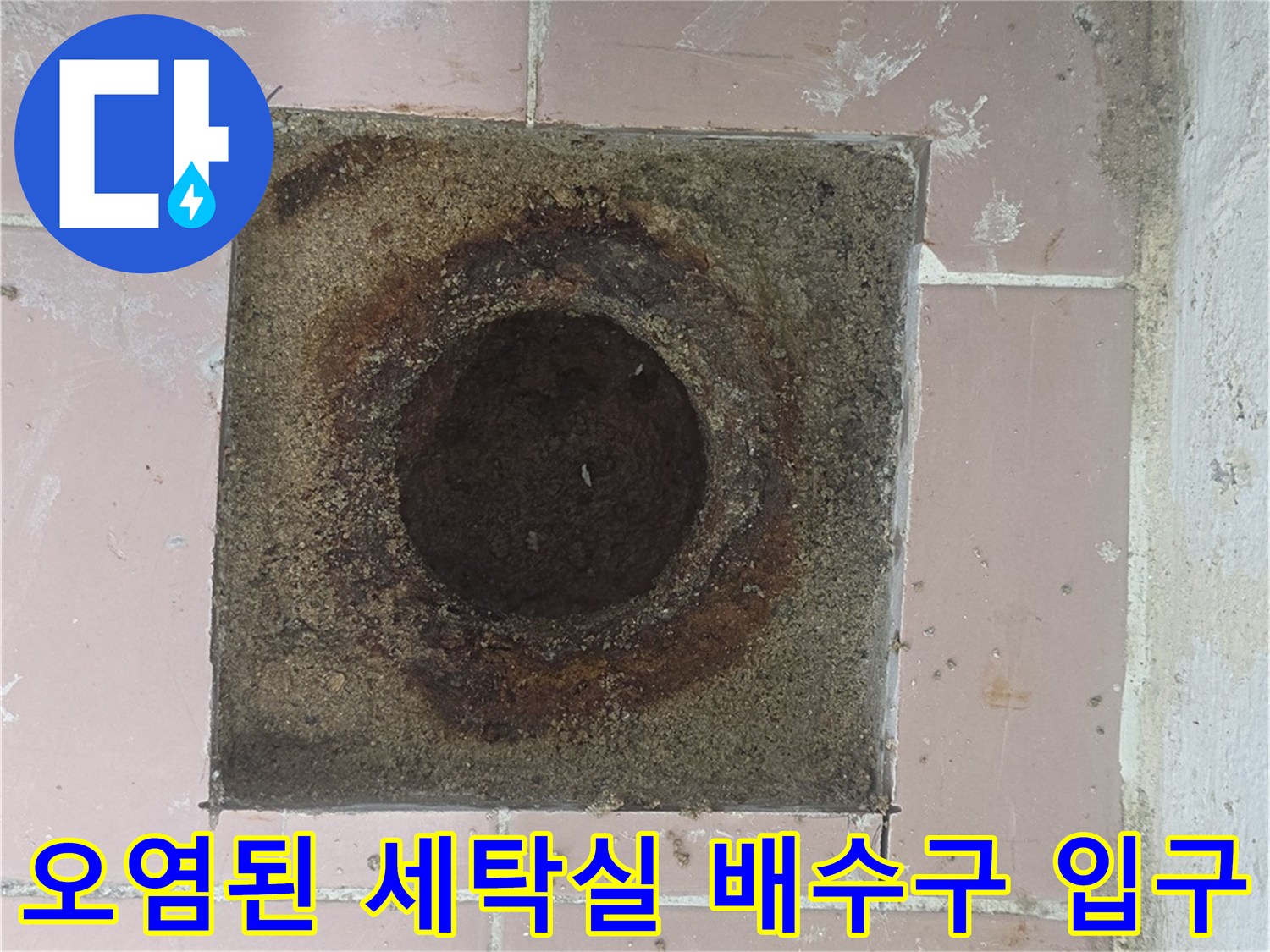 이천 사동리 현장-배수구 주변의 젖은 타일과 부식된 배관 입구