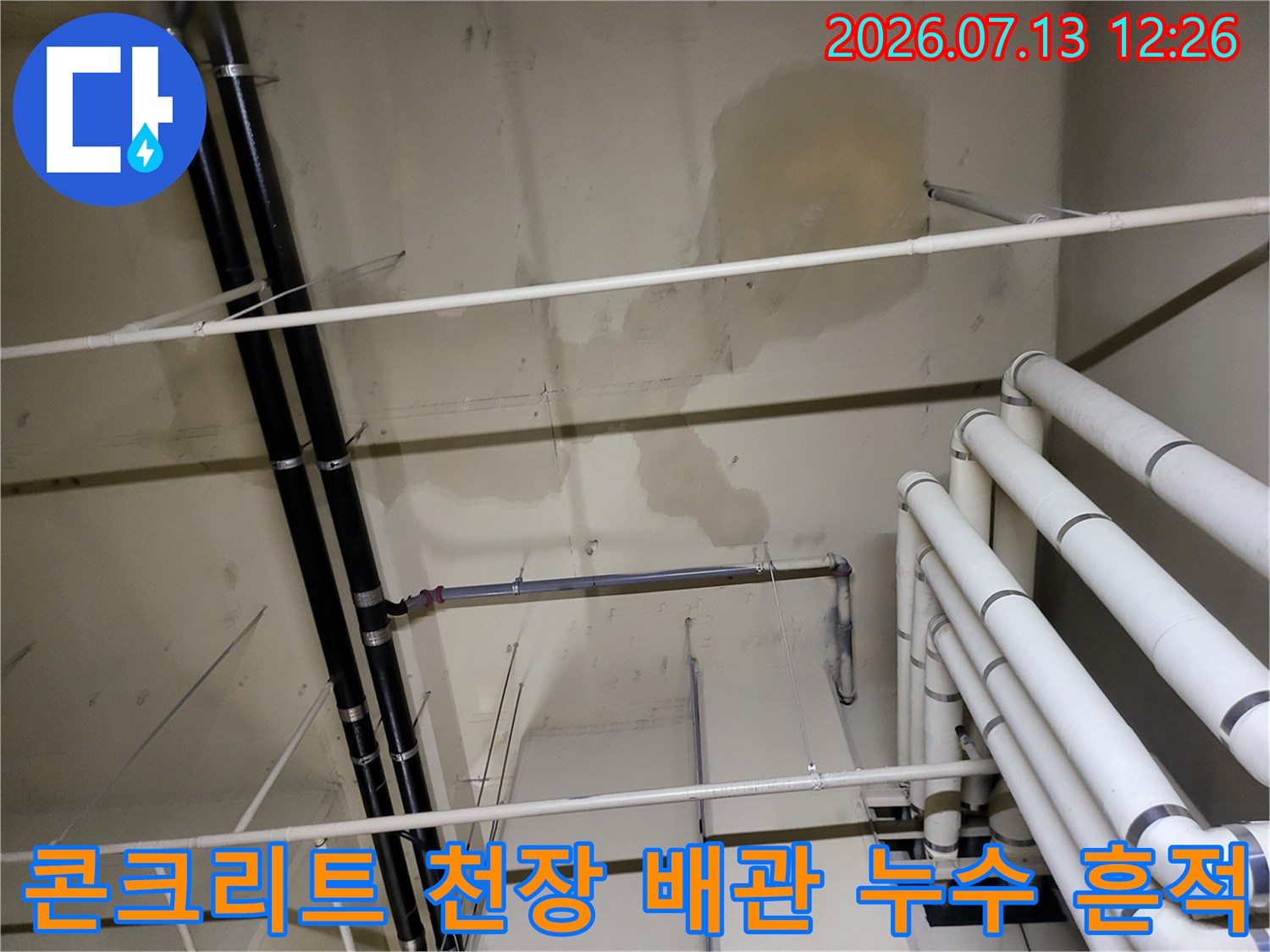 노출된 가스 및 급수 배관 주변의 곰팡이와 물 고임 현상
