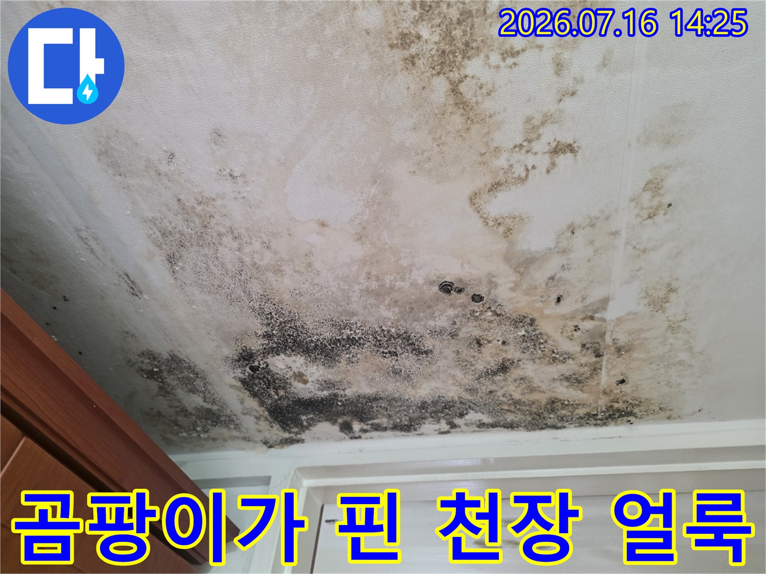 곰팡이와 물때로 오염된 아파트 거실 천장 모습