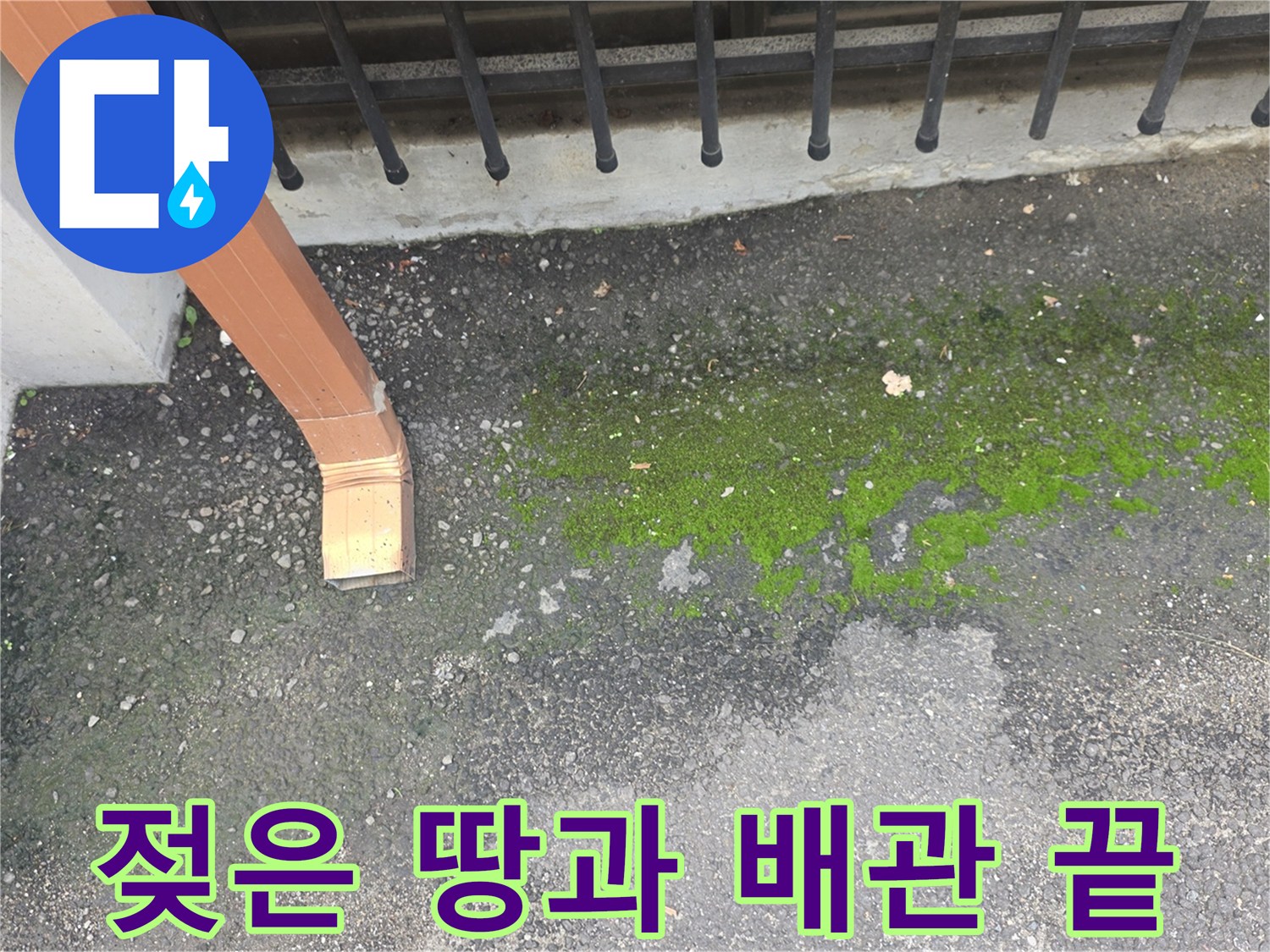 우수관-끝부분에서-흘러나온-물로-젖은-지면