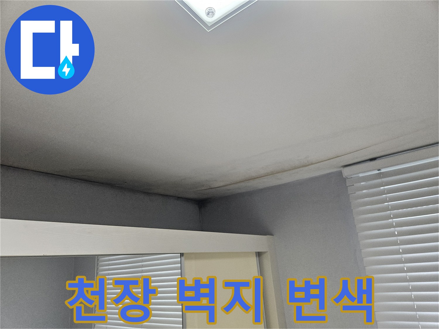 거실 천장의 어두운 얼룩과 습기가 스며든 벽지 상태를 보여줍니다.