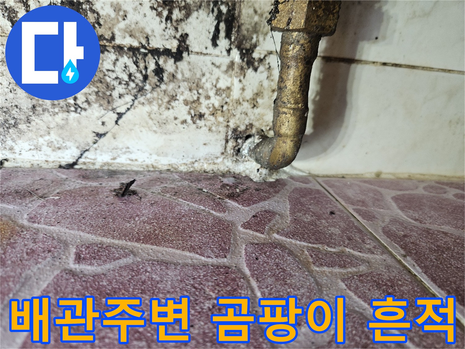다용도실-배관-연결부위-주변의-심한-곰팡이와-습기-상태
