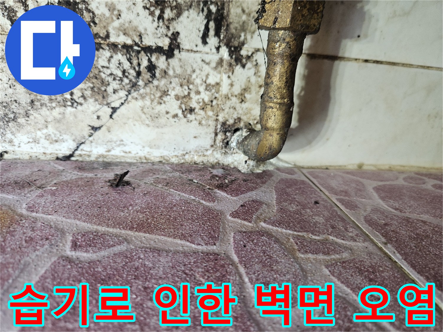 다용도실 벽면 - 배관 주변의 심한 곰팡이와 습기 유입 흔적
