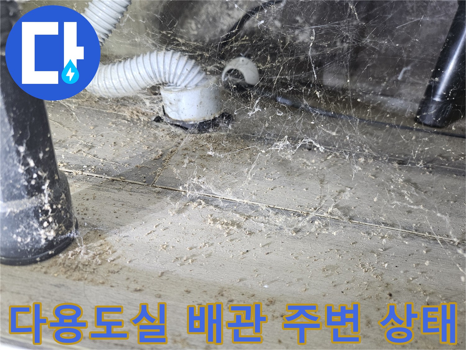 도봉구 다용도실 하수관 주변의 습기와 먼지 상태를 보여주는 사진입니다.