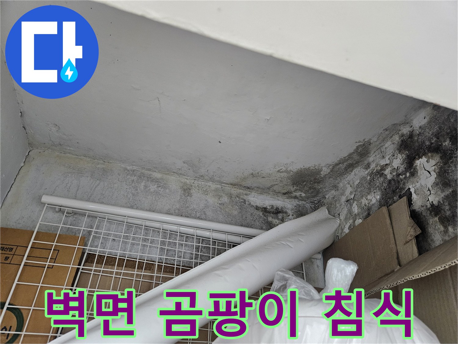 천장 구석 마감재 부근의 검은색 곰팡이 번짐 현상
