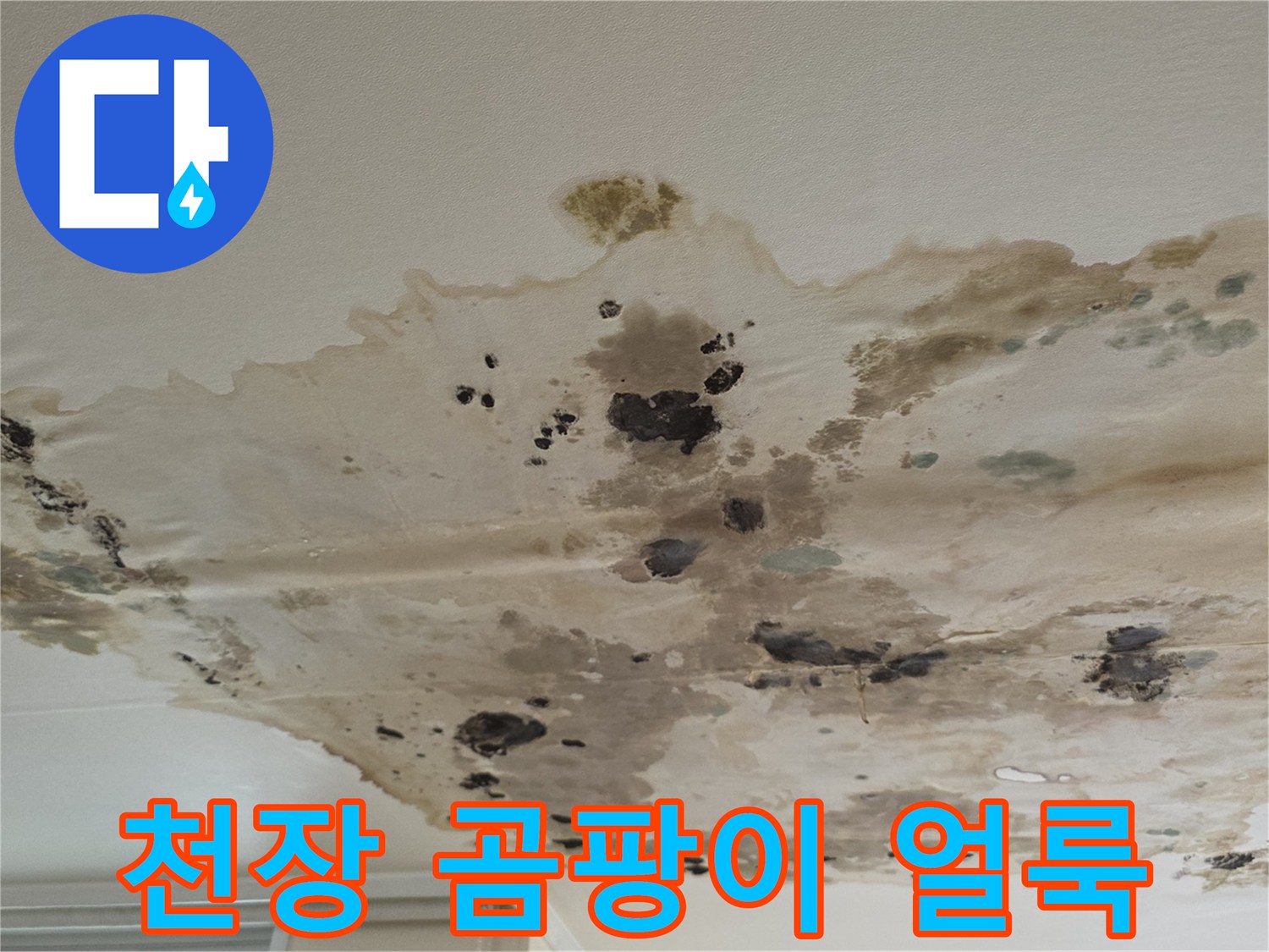 습기가-스며들어-검게-변한-천장-마감재-부위