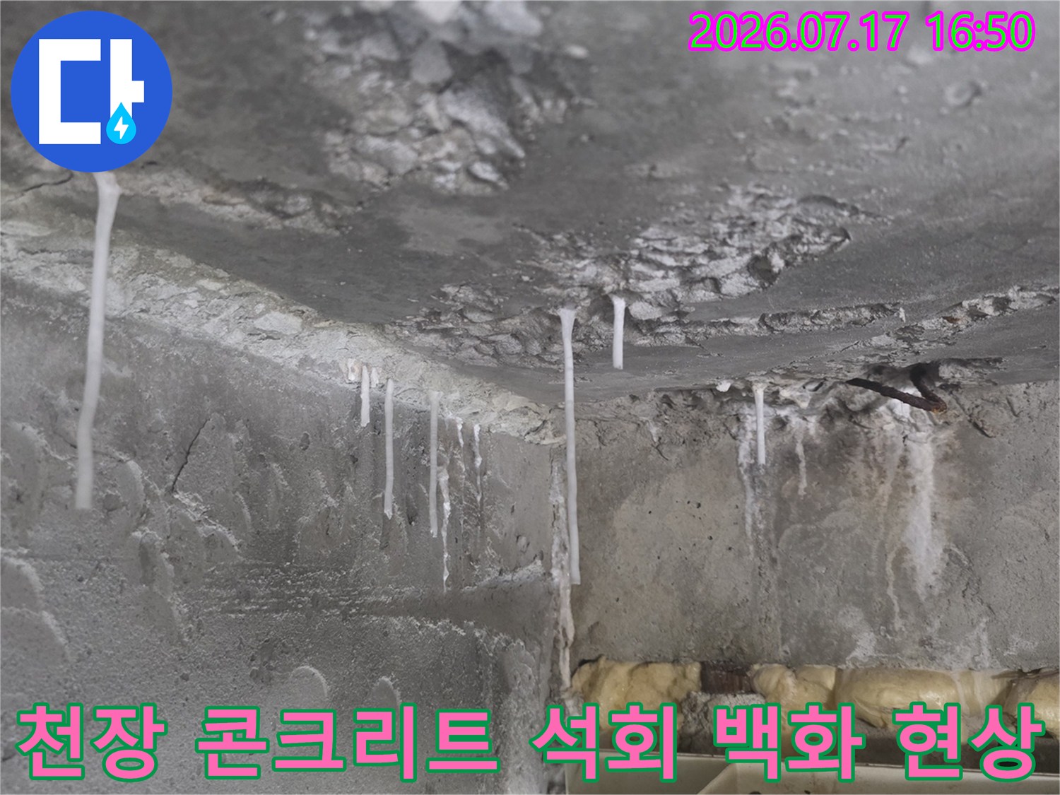 노출된 화장실 천장 콘크리트 면에 하얗게 형성된 누수성 석회질 물질들