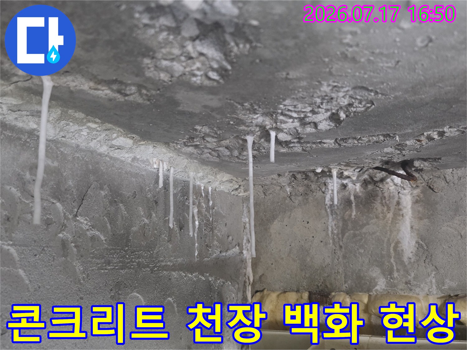 화장실 천장 콘크리트 슬래브에서 고드름처럼 하얗게 내려온 백화 현상 사진