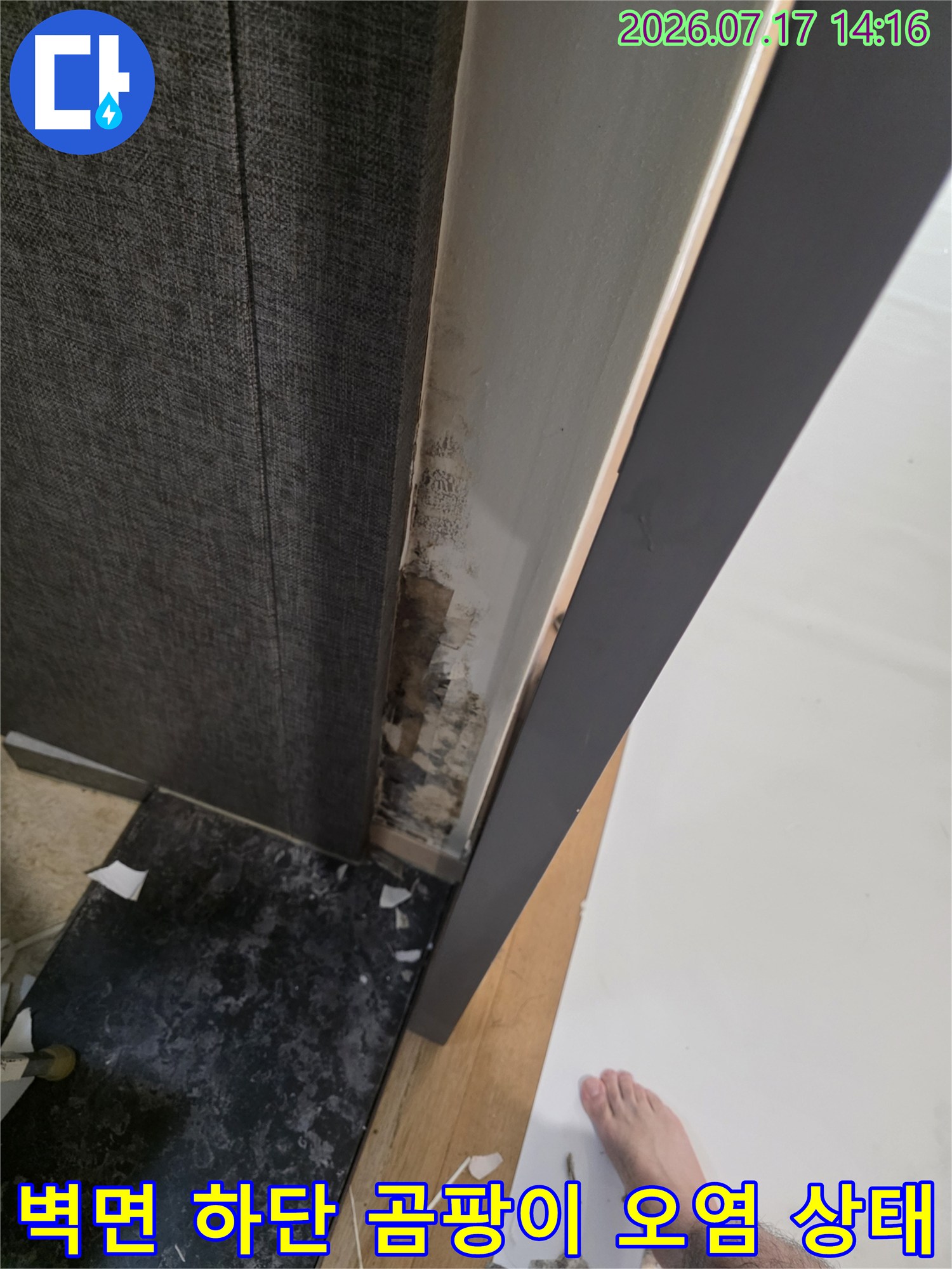 회색 벽지와 흰색 벽면 경계 부위에 발생한 검은색 곰팡이와 누수 흔적