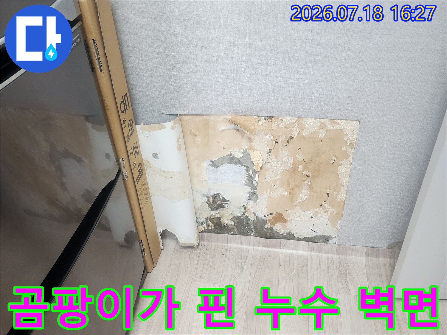 누수로 인해 습기가 차고 곰팡이가 발생하여 변색된 실내 벽지-점검 사진