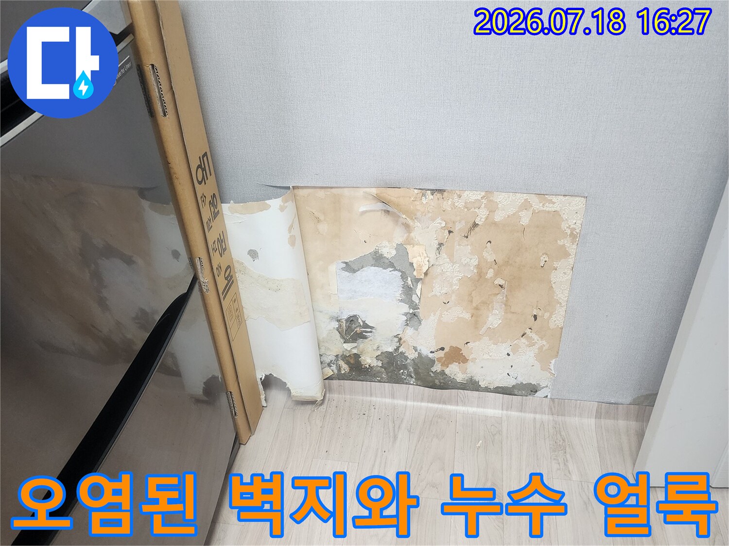 물샘 현상으로 인해 변색되고 곰팡이가 발생한 실내 벽지의 상태-피해 사진