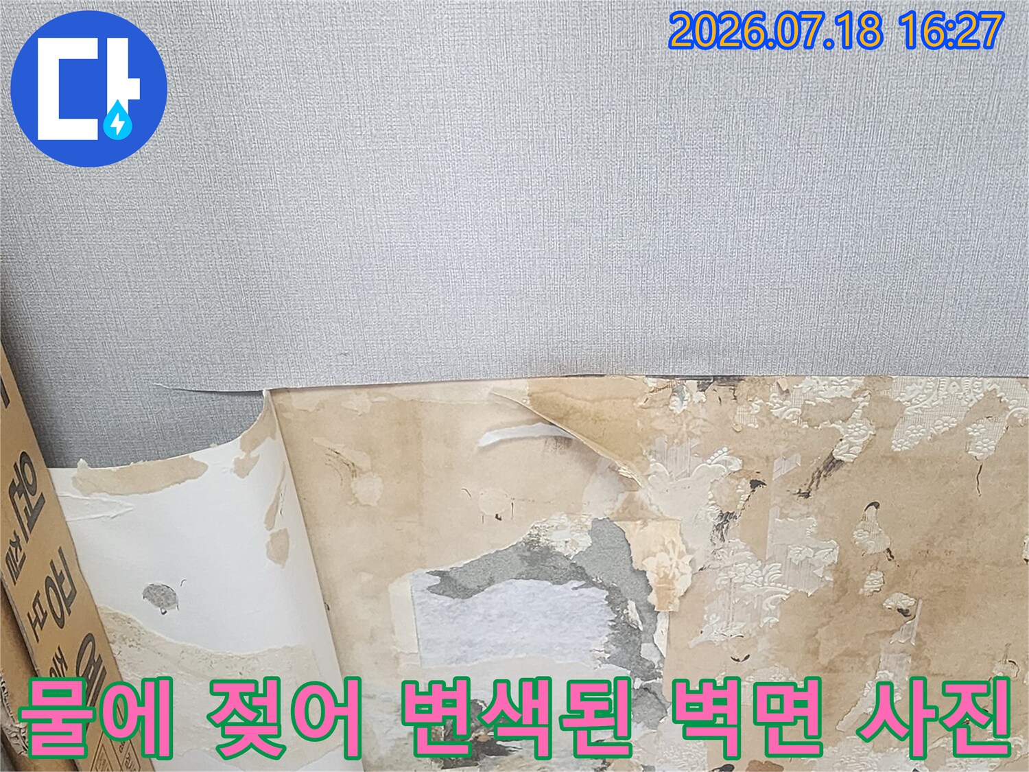부분적으로 제거된 벽지와 그 아래로 드러난 누런 물 얼룩-누수 증거