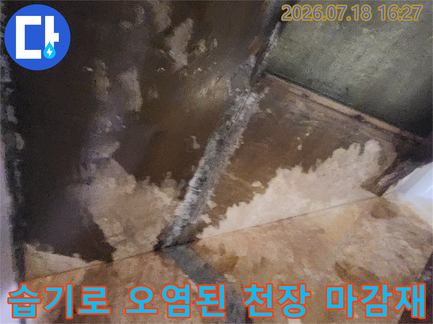 천장 구석과 면에 갈색 물자국과 곰팡이가 넓게 퍼져 있는 모습